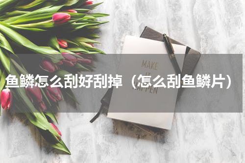 鱼鳞怎么刮好刮掉（怎么刮鱼鳞片）