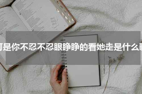 可是你不忍不忍眼睁睁的看她走是什么歌