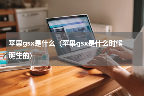 苹果gsx是什么（苹果gsx是什么时候诞生的）