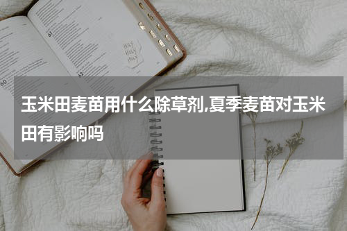 玉米田麦苗用什么除草剂,夏季麦苗对玉米田有影响吗