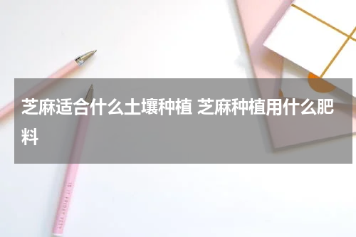 芝麻适合什么土壤种植 芝麻种植用什么肥料