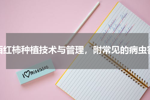 西红柿种植技术与管理，附常见的病虫害