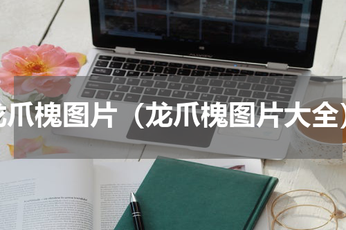 龙爪槐图片（龙爪槐图片大全）