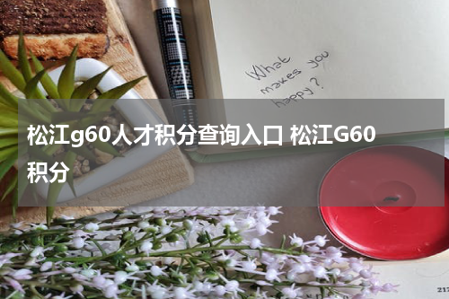 松江g60人才积分查询入口 松江G60积分