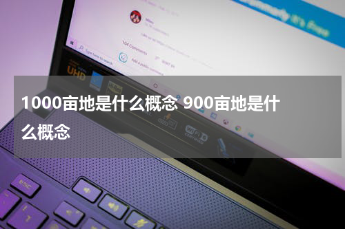 1000亩地是什么概念 900亩地是什么概念