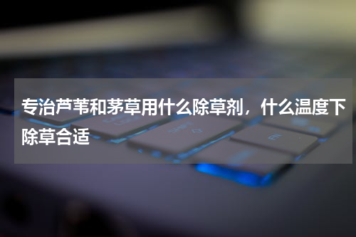 专治芦苇和茅草用什么除草剂，什么温度下除草合适