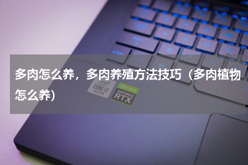 多肉怎么养，多肉养殖方法技巧（多肉植物怎么养）