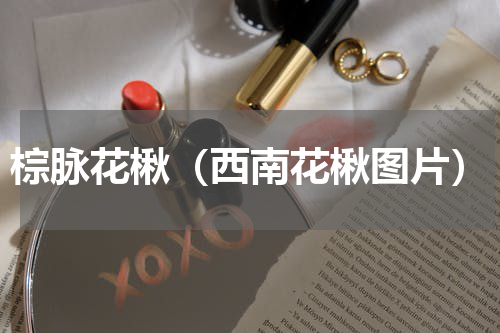 棕脉花楸（西南花楸图片）