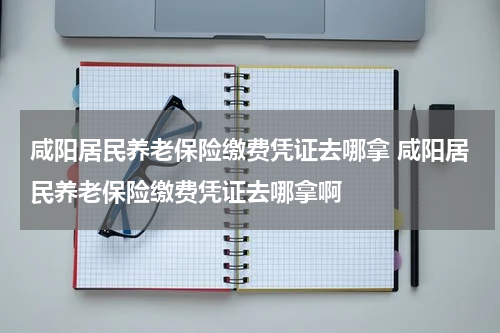 咸阳居民养老保险缴费凭证去哪拿 咸阳居民养老保险缴费凭证去哪拿啊