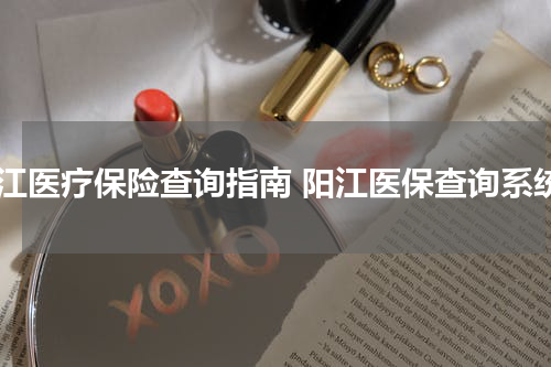 阳江医疗保险查询指南 阳江医保查询系统