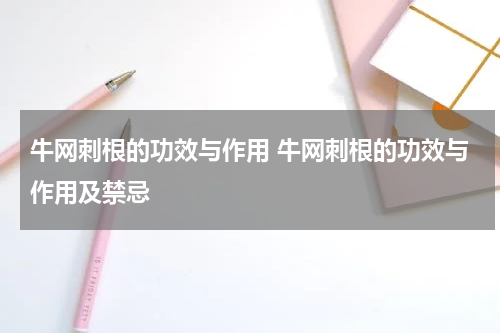 牛网刺根的功效与作用 牛网刺根的功效与作用及禁忌