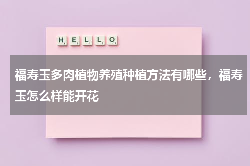 福寿玉多肉植物养殖种植方法有哪些，福寿玉怎么样能开花