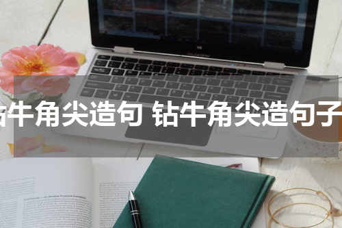 钻牛角尖造句 钻牛角尖造句子