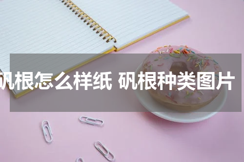 矾根怎么样纸 矾根种类图片