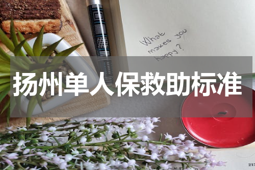 扬州单人保救助标准