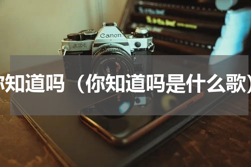 你知道吗（你知道吗是什么歌）