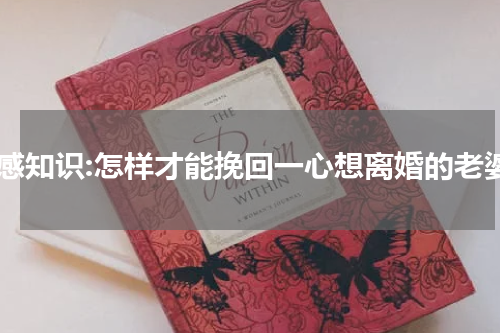 情感知识:怎样才能挽回一心想离婚的老婆