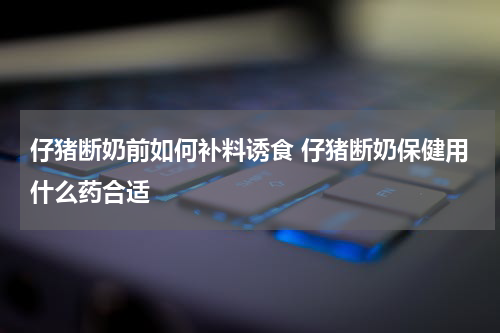 仔猪断奶前如何补料诱食 仔猪断奶保健用什么药合适