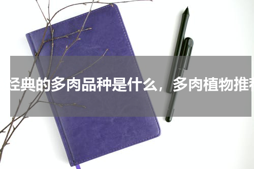 最经典的多肉品种是什么，多肉植物推荐