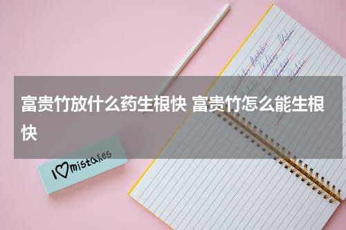 富贵竹放什么药生根快 富贵竹怎么能生根快