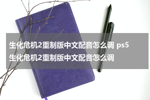 生化危机2重制版中文配音怎么调 ps5生化危机2重制版中文配音怎么调