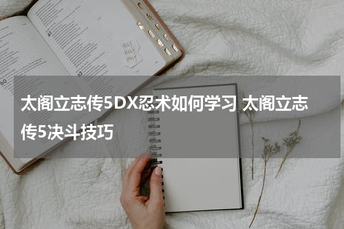 太阁立志传5DX忍术如何学习 太阁立志传5决斗技巧