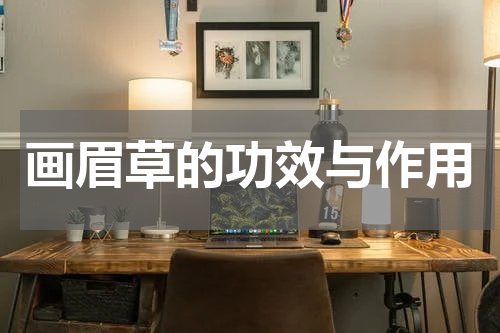 画眉草的功效与作用