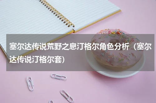 塞尔达传说荒野之息汀格尔角色分析（塞尔达传说汀格尔套）
