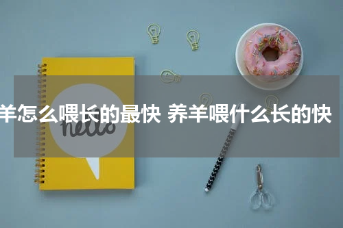 羊怎么喂长的最快 养羊喂什么长的快