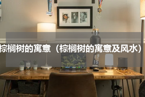 棕榈树的寓意（棕榈树的寓意及风水）