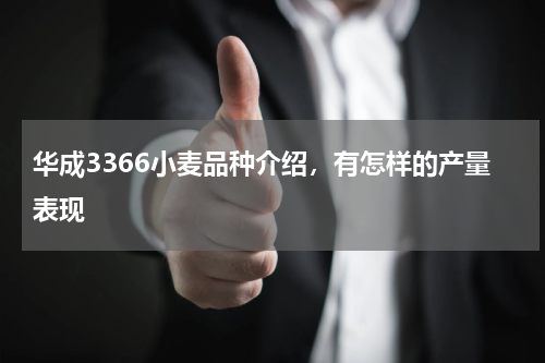 华成3366小麦品种介绍，有怎样的产量表现