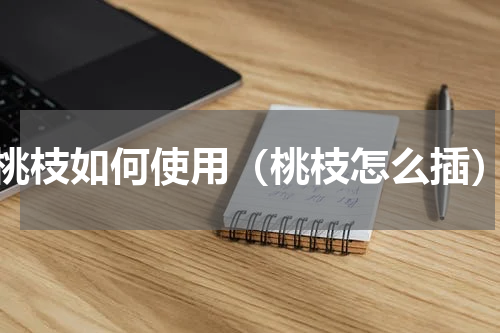 桃枝如何使用（桃枝怎么插）