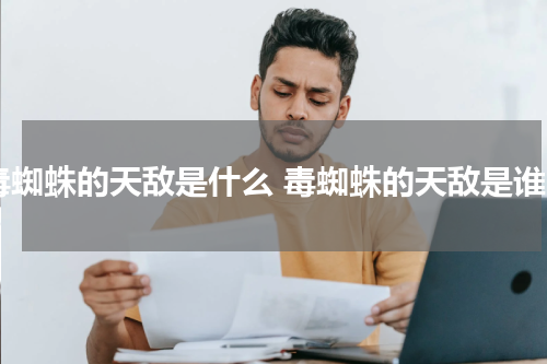 毒蜘蛛的天敌是什么 毒蜘蛛的天敌是谁