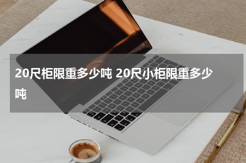 20尺柜限重多少吨 20尺小柜限重多少吨
