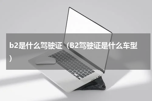 b2是什么驾驶证（B2驾驶证是什么车型）