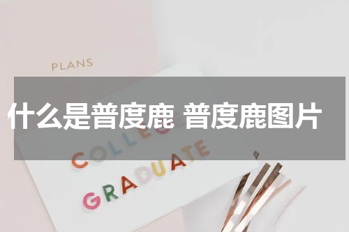 什么是普度鹿 普度鹿图片