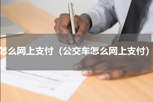 怎么网上支付（公交车怎么网上支付）