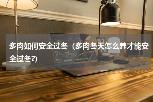 多肉如何安全过冬（多肉冬天怎么养才能安全过冬?）