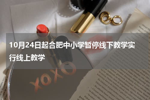10月24日起合肥中小学暂停线下教学实行线上教学