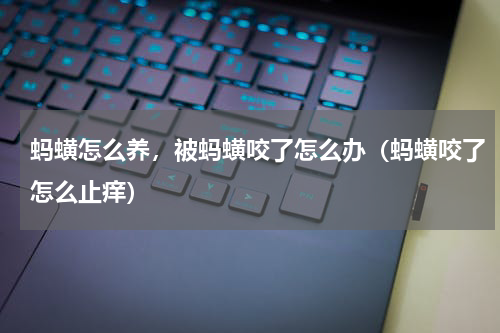 蚂蟥怎么养，被蚂蟥咬了怎么办（蚂蟥咬了怎么止痒）