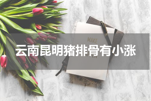 云南昆明猪排骨有小涨