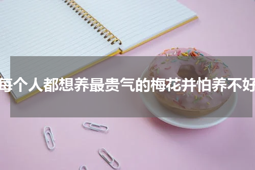 每个人都想养最贵气的梅花并怕养不好