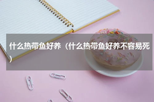 什么热带鱼好养（什么热带鱼好养不容易死）