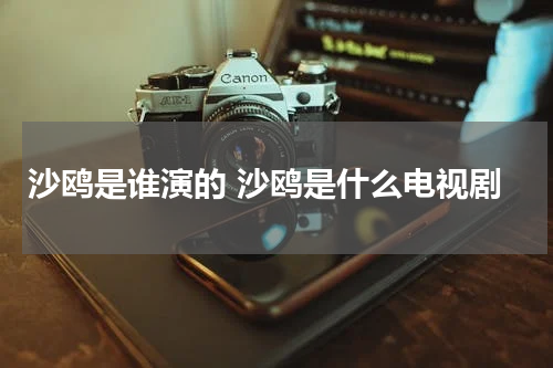 沙鸥是谁演的 沙鸥是什么电视剧