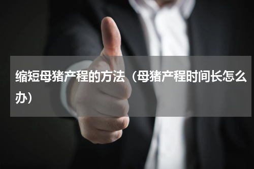 缩短母猪产程的方法（母猪产程时间长怎么办）