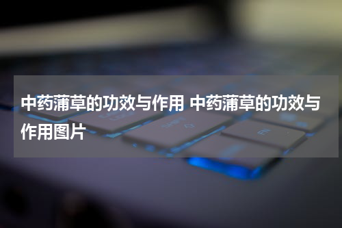 中药蒲草的功效与作用 中药蒲草的功效与作用图片