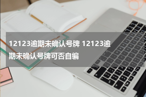 12123逾期未确认号牌 12123逾期未确认号牌可否自编