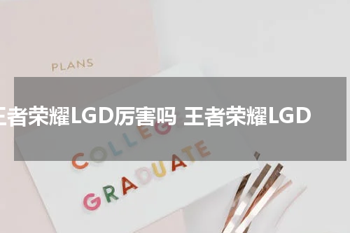 王者荣耀LGD厉害吗 王者荣耀LGD