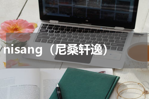 nisang（尼桑轩逸）