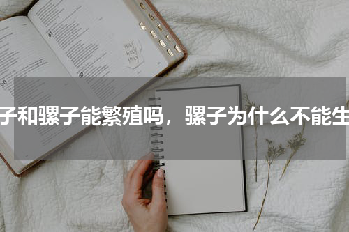 骡子和骡子能繁殖吗，骡子为什么不能生育